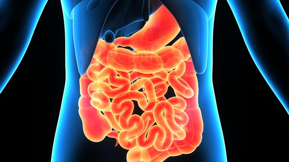 dolor estomago sensacion de hambre dolor estomago sensacion de hambre