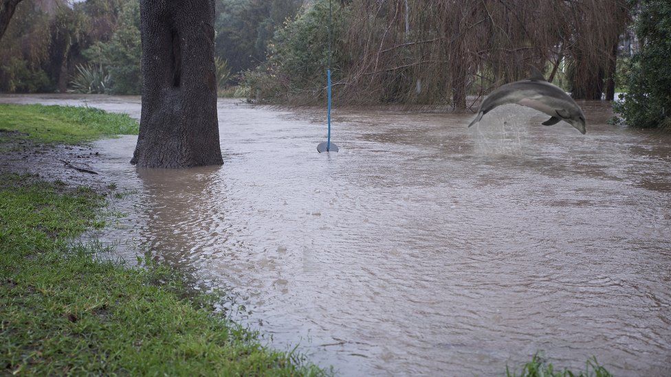 Muddy waters near the Heathcote river in Christchurch, New Zealand.