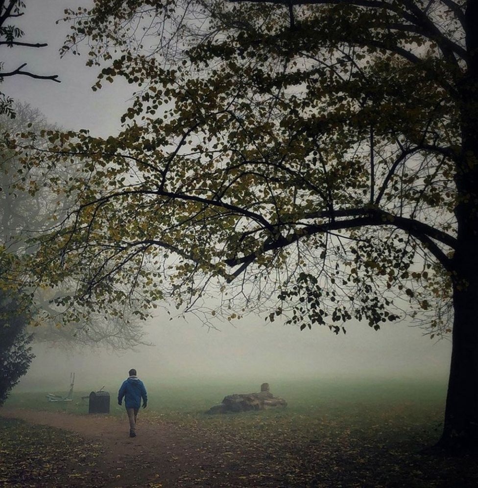 Your pictures on the theme of 'misty mornings' - BBC News