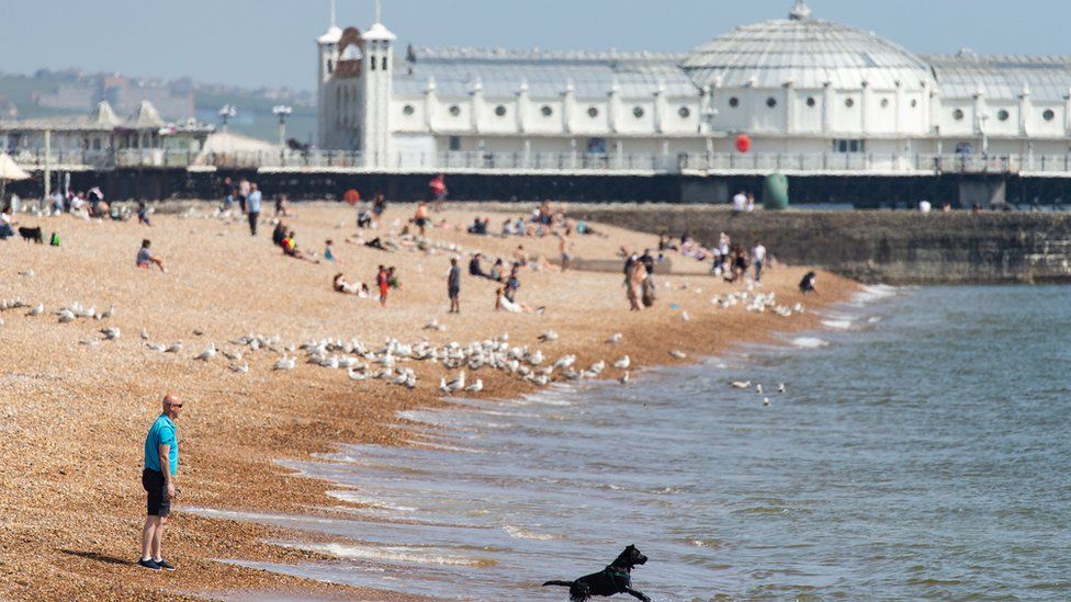 A man walks his dog along the beach on May 09, 2020 in Brighton, England. The UK is continuing with quarantine measures intended to curb the spread of Covid-19, but as the infection rate is falling government officials are discussing the terms under which it would ease the lockdown.
