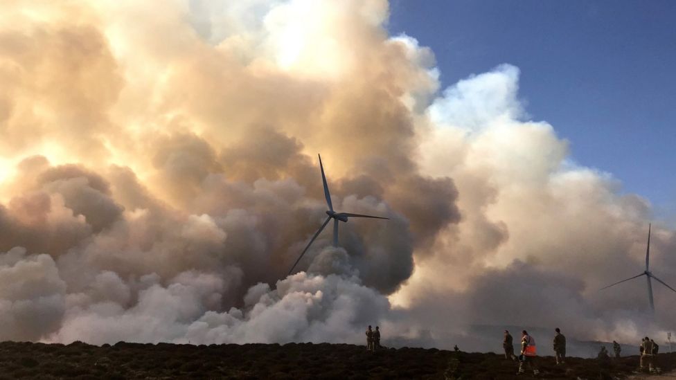 Call for controlled burning to help limit spread of wildfires - BBC News