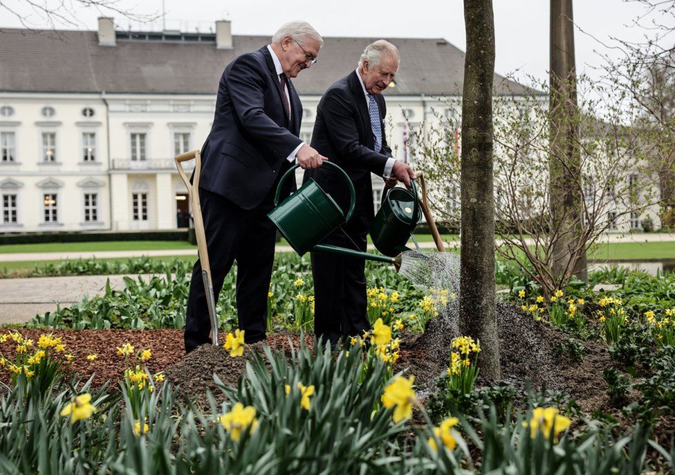 Король Великобритании Карл III (справа) и президент Германии Франк-Вальтер Штайнмайер поливают дерево в саду президентского дворца Бельвю в Берлине