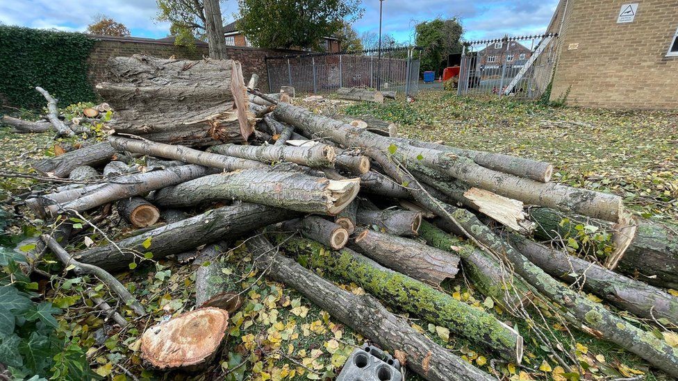 Trees cut down on the former Northern School of Art Campus in Linthorpe