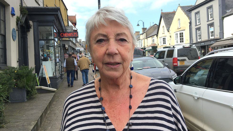 What kind of Brexit do people in Cowbridge want? - BBC News