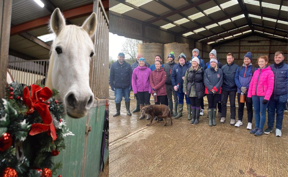 A horse and volunteers at Crosskennan Lane Animal Sanctuary