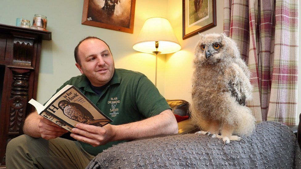 Dave Warren with owl