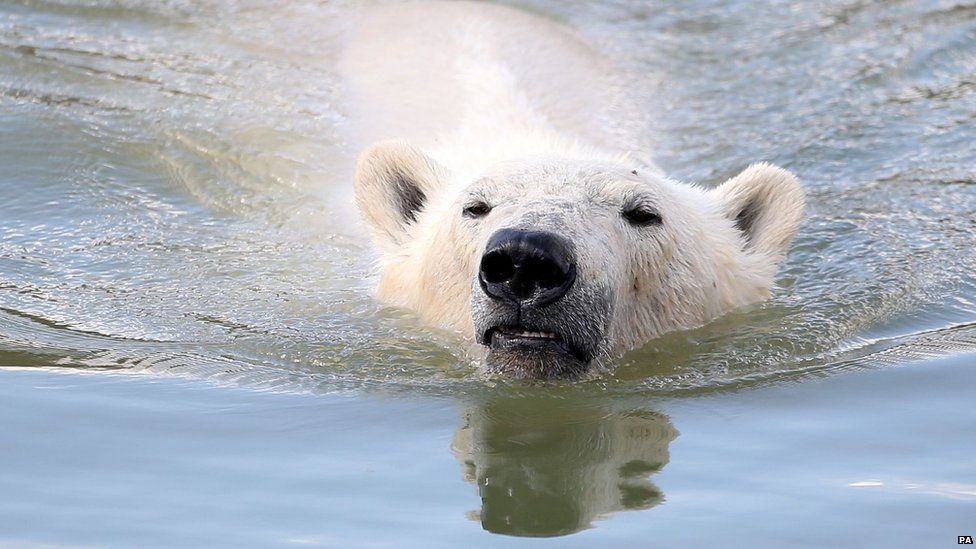 What's the fuss about climate change? Your questions answered - BBC News