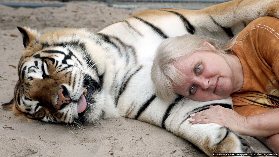 Pet a Tiger Cub?