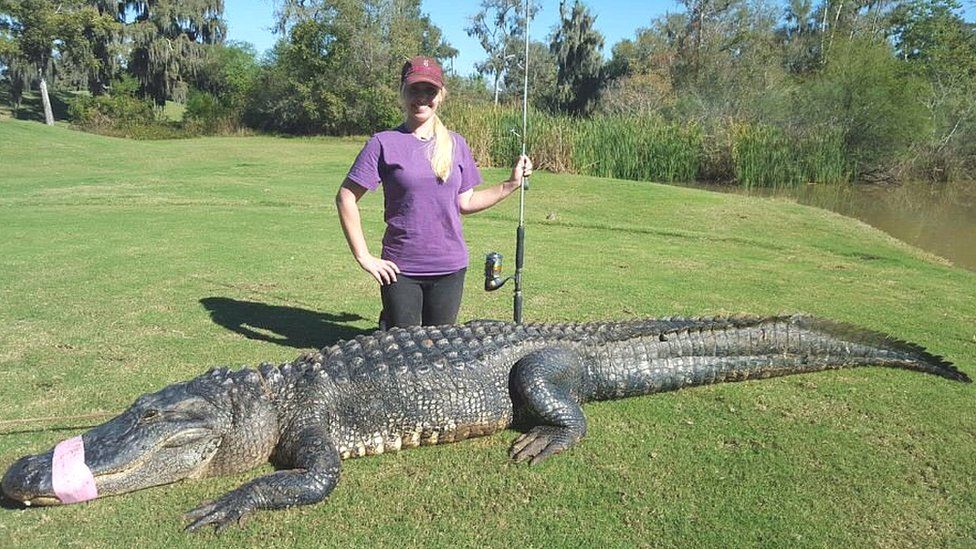 Christy Kroboth with an alligator captured at River Pointe Golf Club, Houston