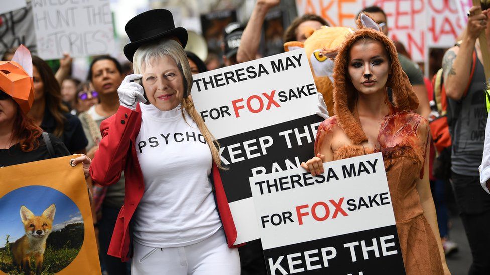 Fox hunting protesters