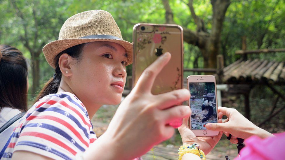 A woman uses her mobile phone to take a picture with panda at the Chengdu Research Base of Giant Panda Breeding in China's Sichuan province