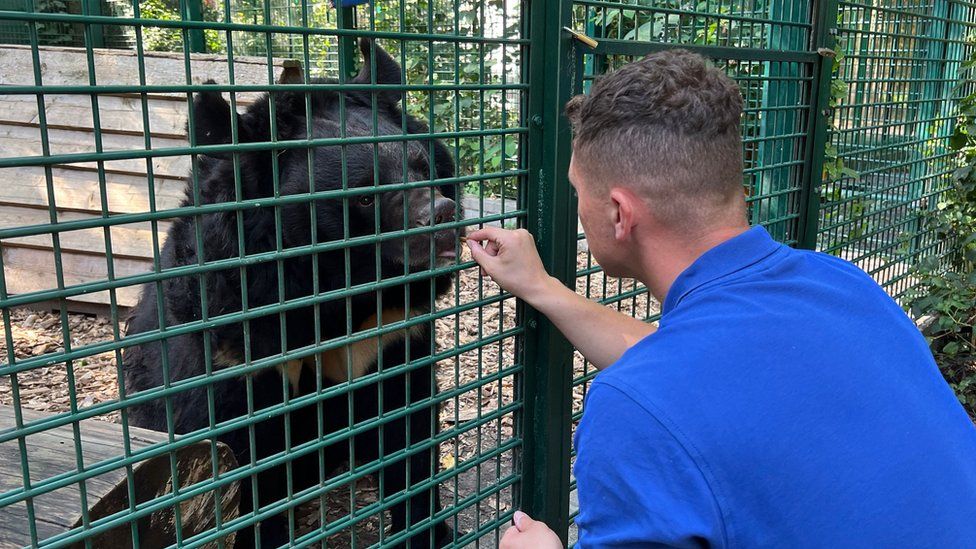 Yampil the Asiatic Black Bear and Zoo worker