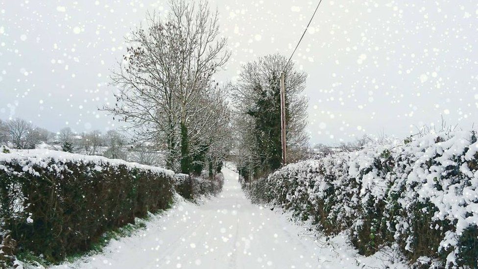 Your Pictures Of Snowy Scenes In Northern Ireland Bbc News