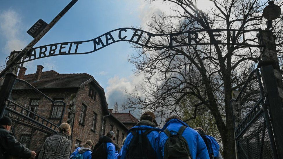 Auschwitz Museum condemns Polish ruling party video - BBC News