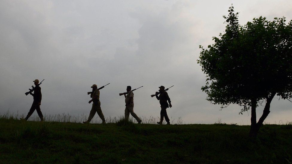17 июня 2019 г., индийские лесные охранники патрулируют национальный парк Казиранга, примерно в 220 км от Гувахати, столицы штата Ассам на северо-востоке Индии