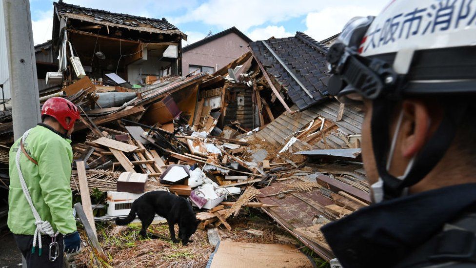 A rescue dog helps firefighters in searching for people in the rubble of a collapsed house in Wajima.