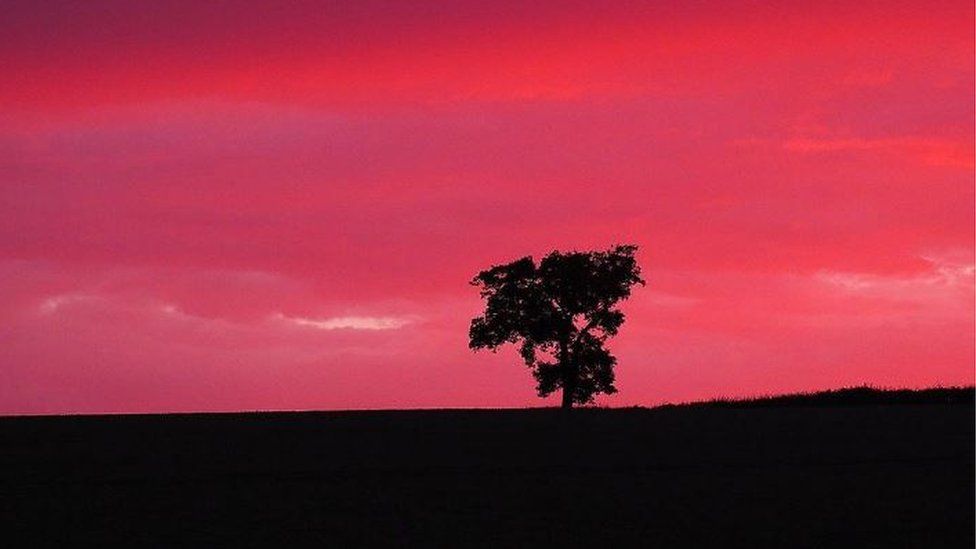 Spectacular pink and orange sunset lights up sky - BBC News