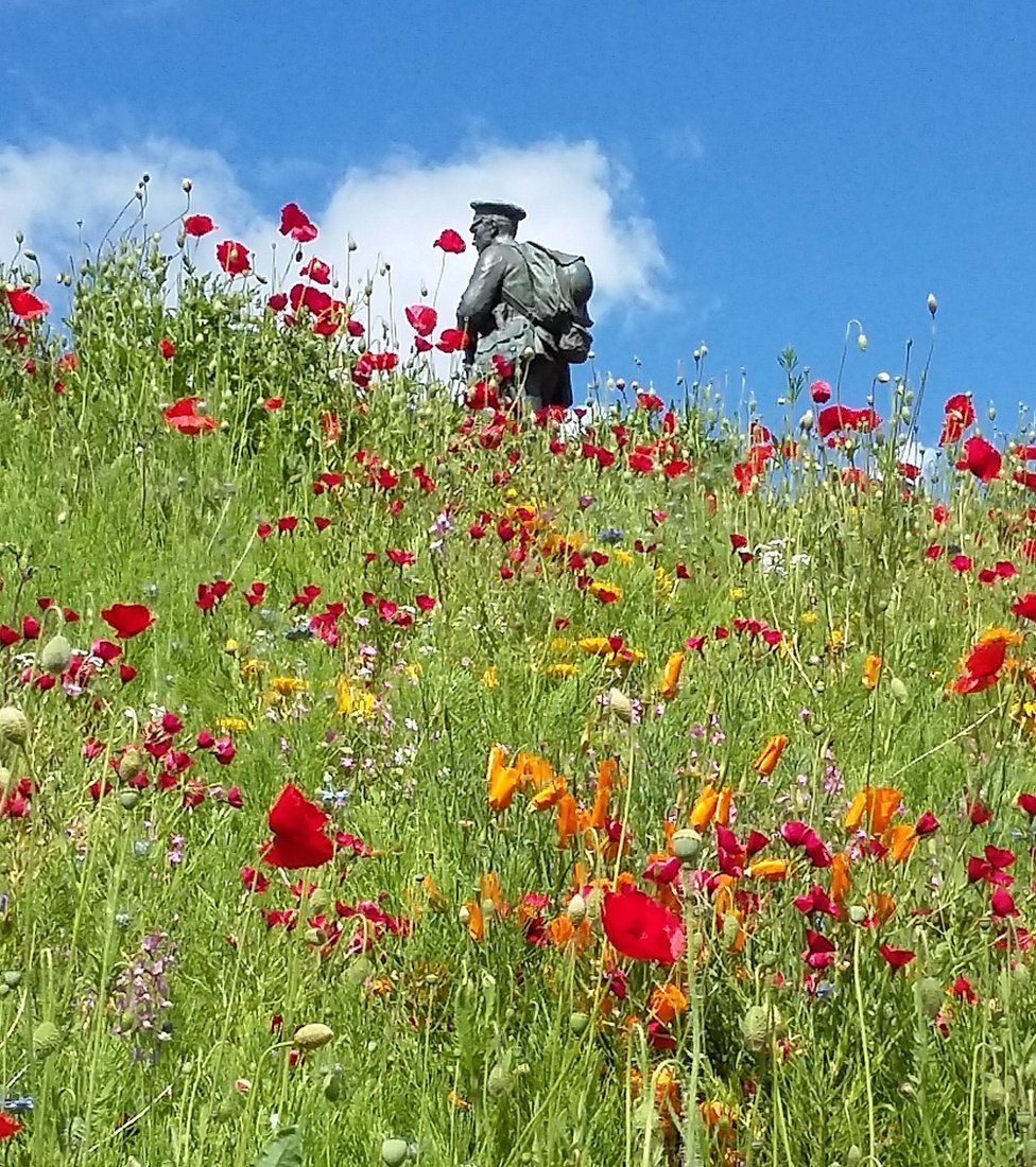 Poppies in a field by a War Memorial