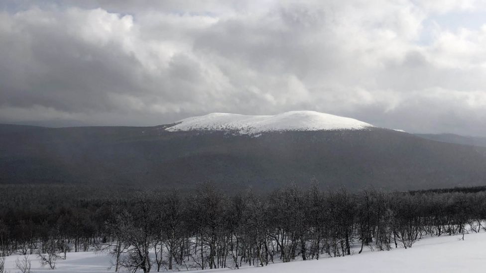 Dyatlov geçidi vakası