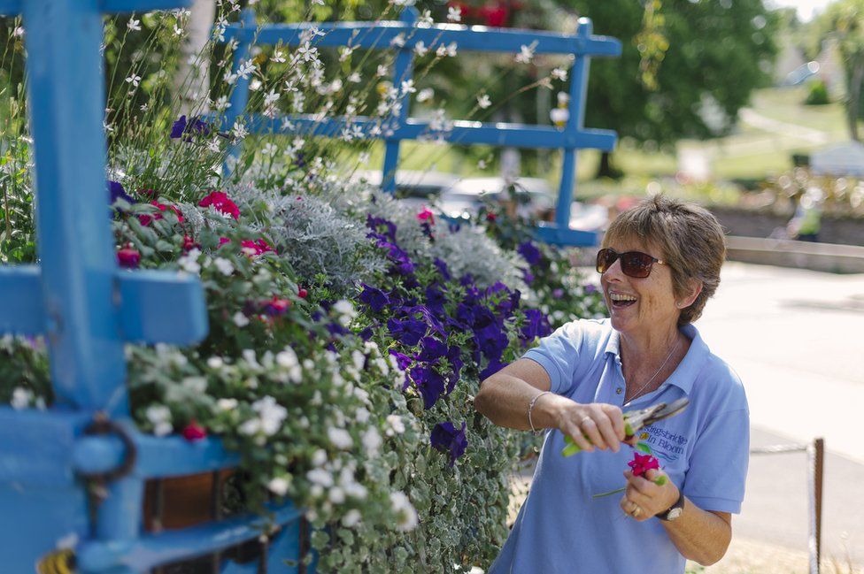 Kingsbridge volunteer deadheading a floral display