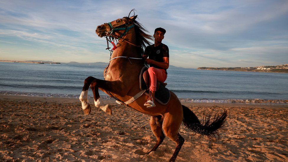 A rider reacts mounted on a horse on the beach in Tangier, Morocco - Sunday 26 March 2023
