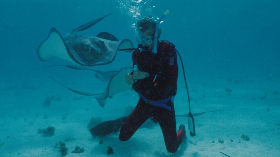 Bill Gates scuba diving with rays