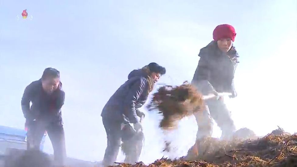 Farm workers shovel manure in a clip on North Korean television
