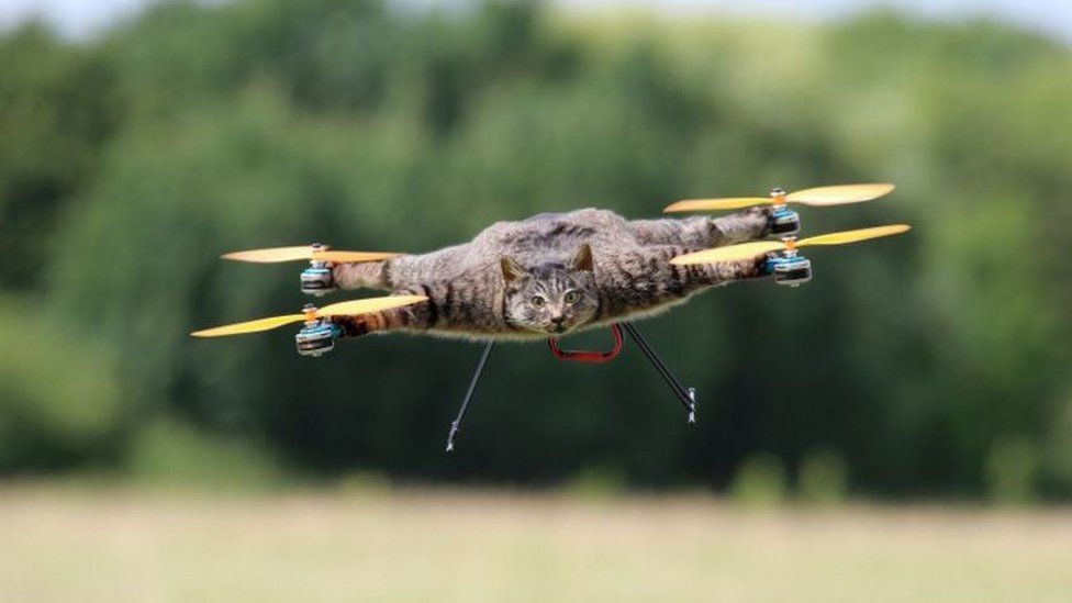 Cat drone inventor works on flying cows – BBC News