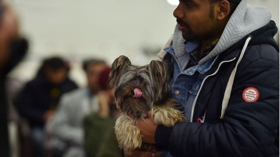 GHAZIABAD, INDIA - MARCH 7: Several Indian students who returned from Ukraine have brought back their pet dogs along as Indian Air force (IAF) aircraft, C-17 Globemaster, brings a batch of 200 stranded Indian students in Ukraine, at Hindan Air Force Station, on March 7, 2022 in Ghaziabad, India.