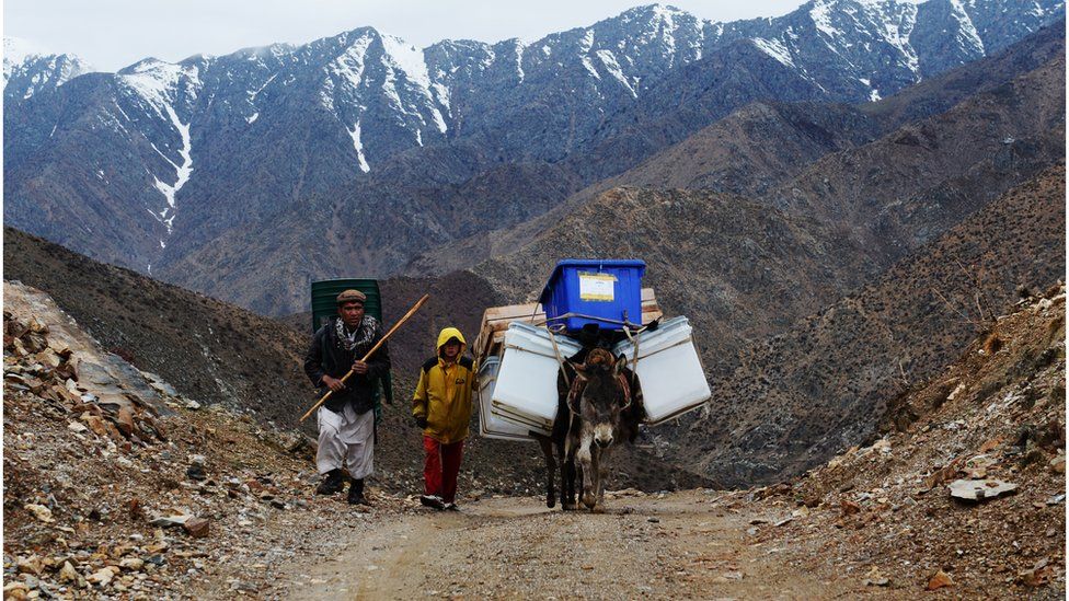 Afghan villagers use donkeys to transport election materials in high mountains of Northern Afghanistan ahead of the 2014 presidential elections