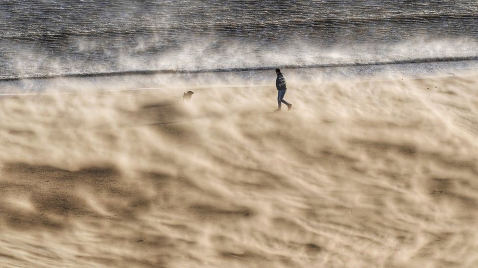 A walker and his dog battle strong winds on Tynemouth beach