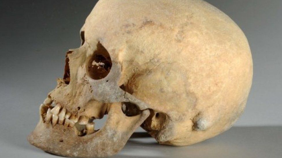 The Skull of the Iron Age woman
