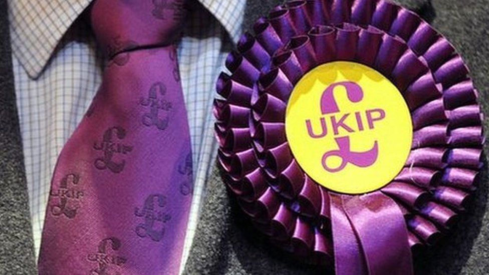 UKIP rosette