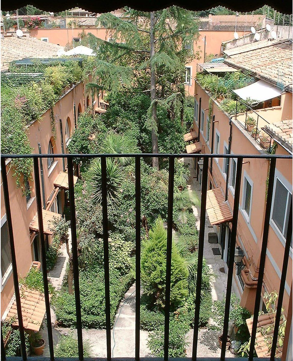 The view from the balcony of David Willey's former flat, looking down on the orange trees