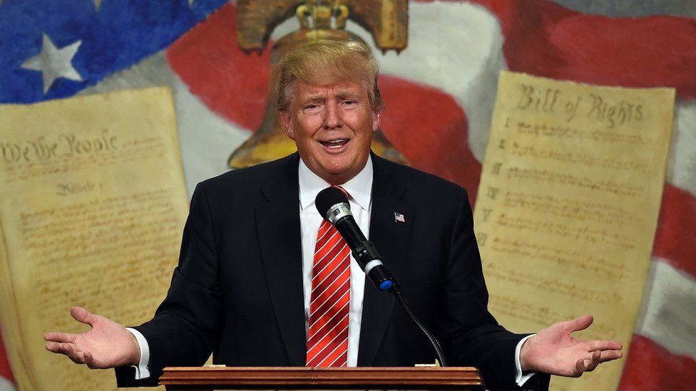 Donald Trump gets Sarah Palin power - BBC News