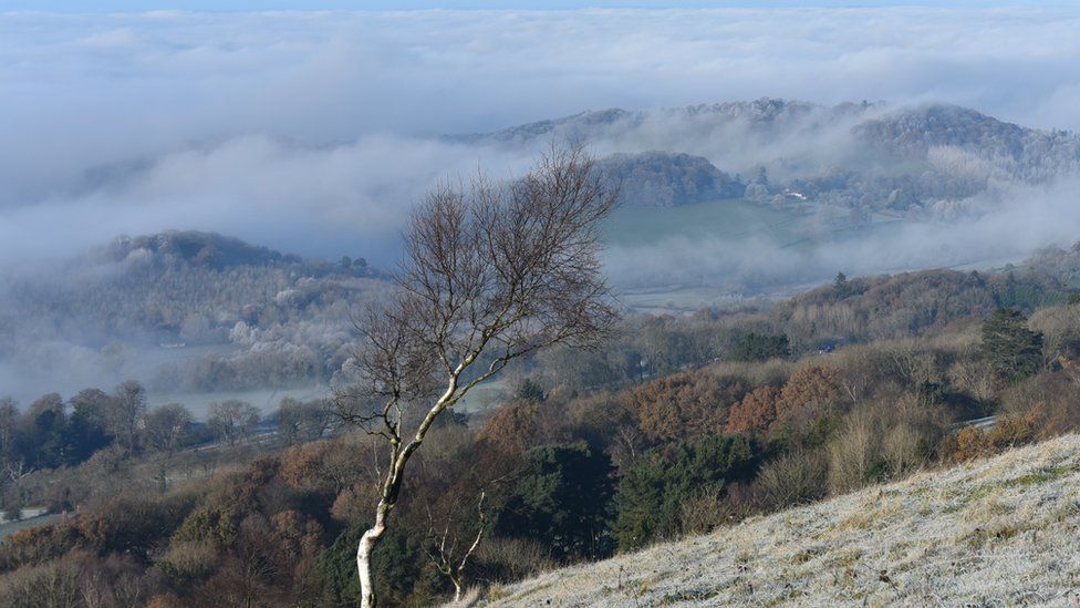 A tree on the Malvern Hills, in front of the cloud inversions in the distance