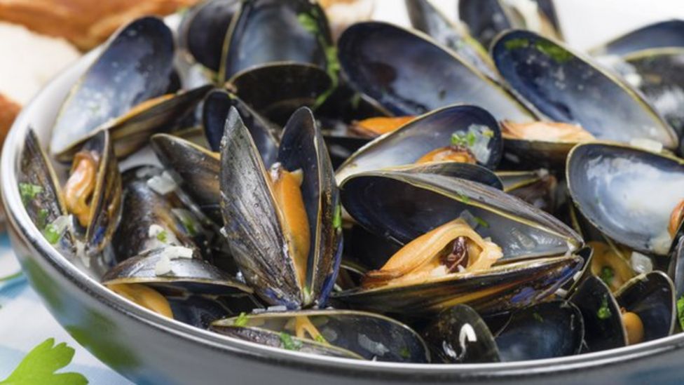 Mussels recalled from sale over toxin level fears BBC News
