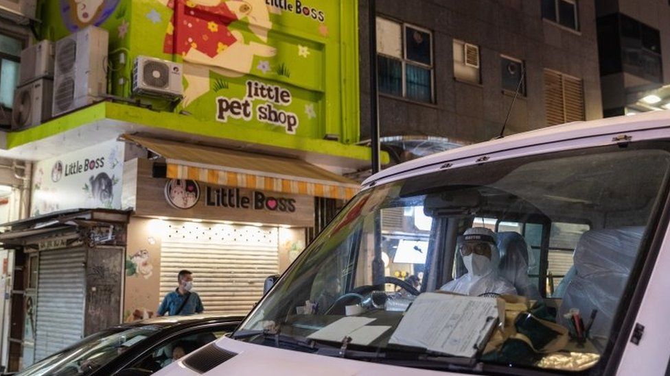 A worker wearing a hazmat suit sits inside a van parked by the pet store