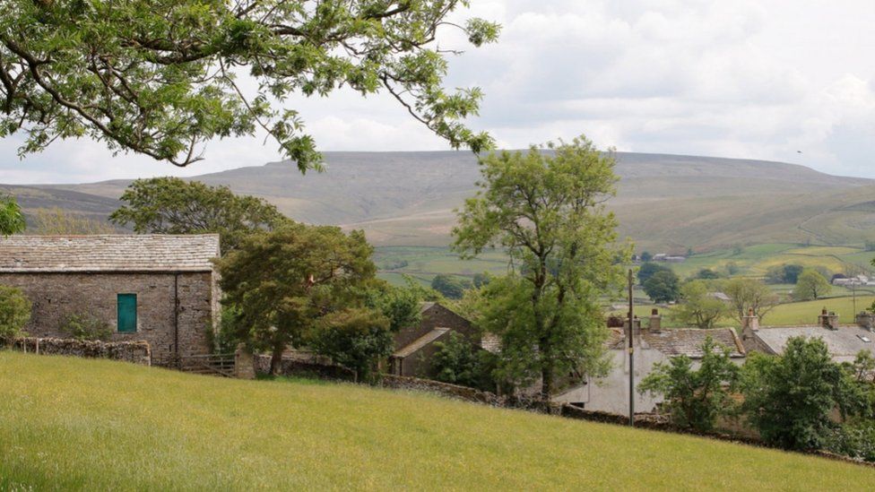 'Exceptionally rare' Cumbria meadows to open to public BBC News