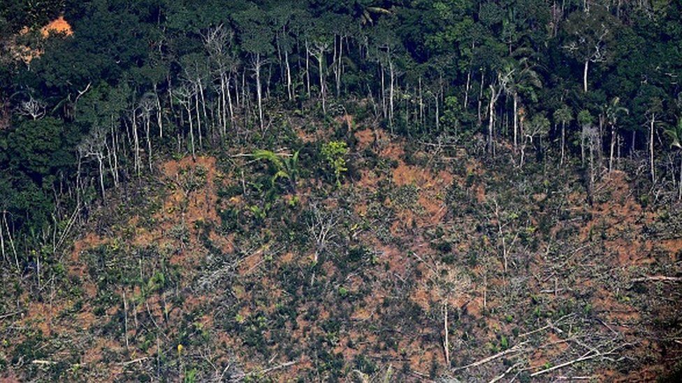 Аэрофотоснимок, показывающий обезлесенный участок земли в тропических лесах Амазонки в Бразилии в 2019 году
