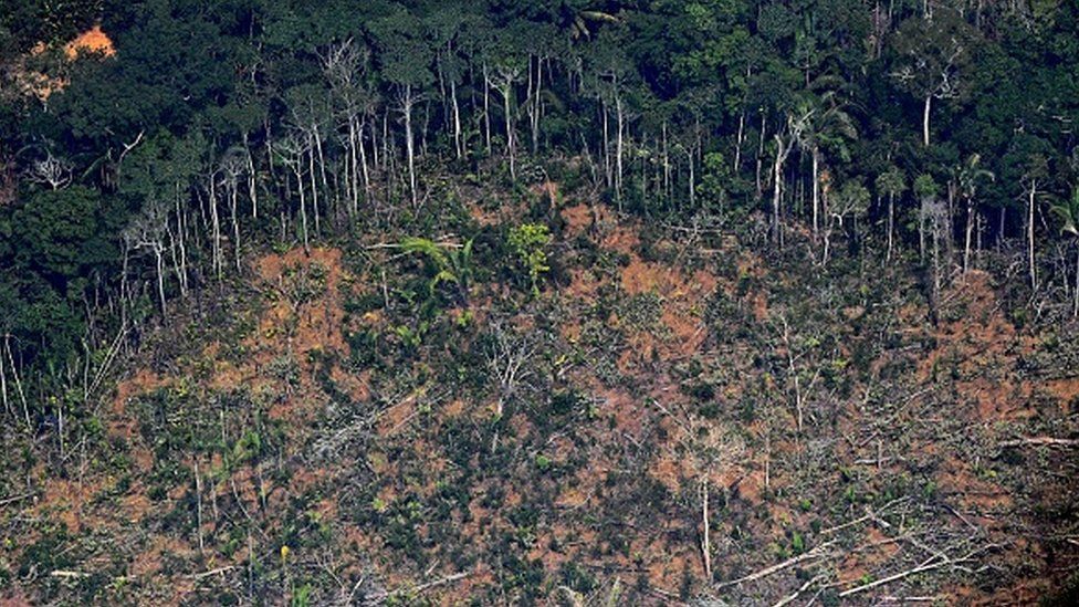 Aerial picture showing a deforested piece of land in the Amazon rainforest in Brazil in 2019