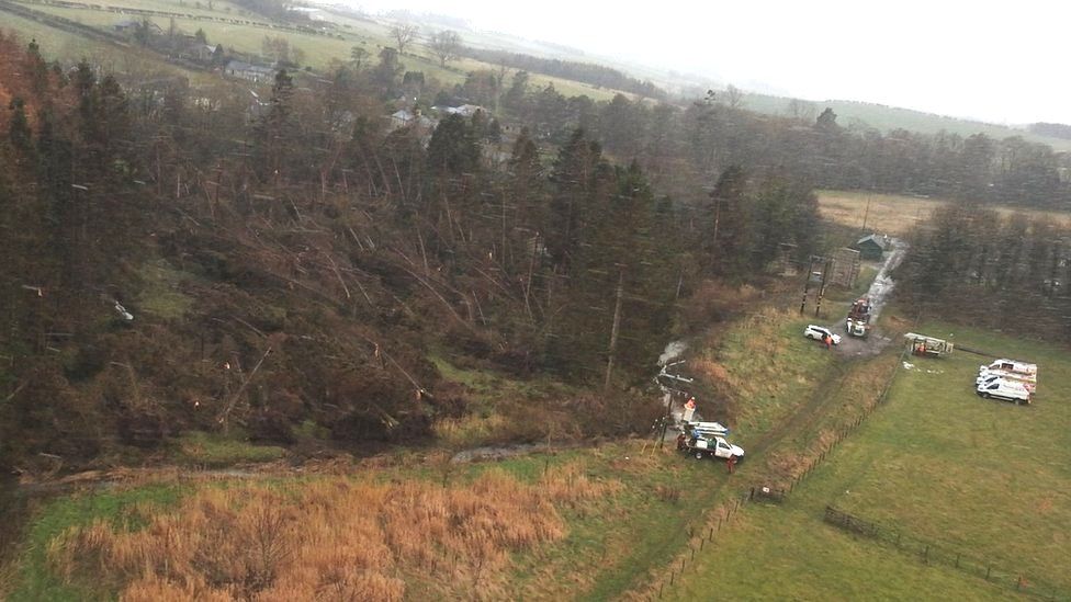 View from helicopter of dozens of trees blown over