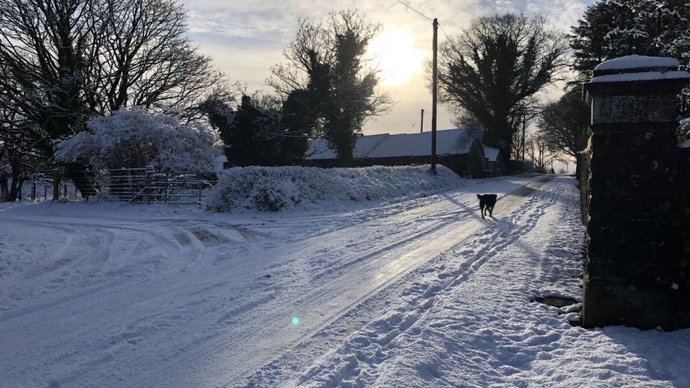 Your Pictures Of Snowy Scenes In Northern Ireland Bbc News