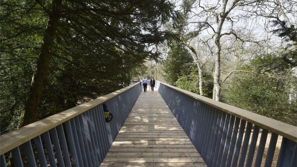 Westonbirt Arboretum treetop walkway