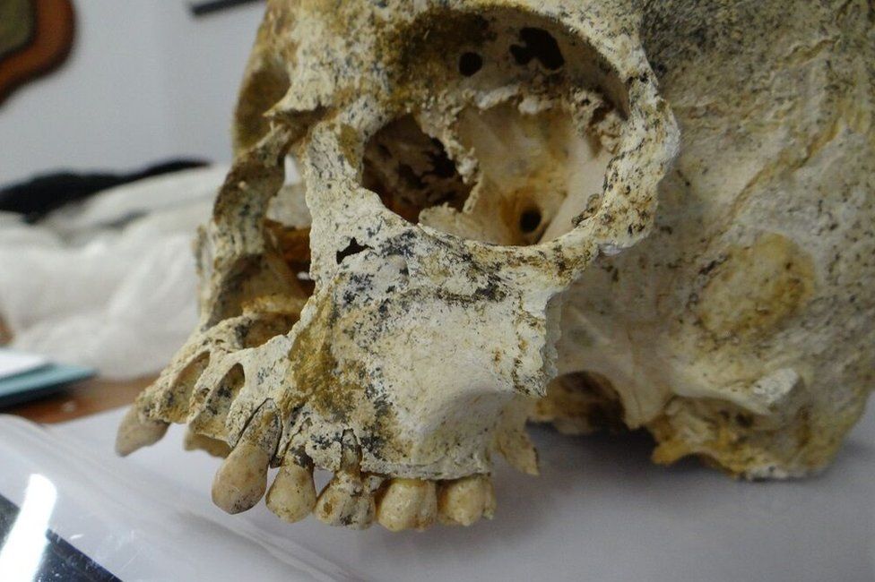 Skull of Ava