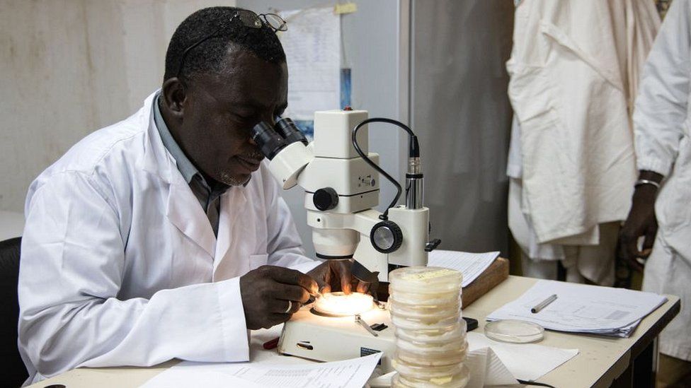 Lab technician in Burkina Faso studying malaria parasite