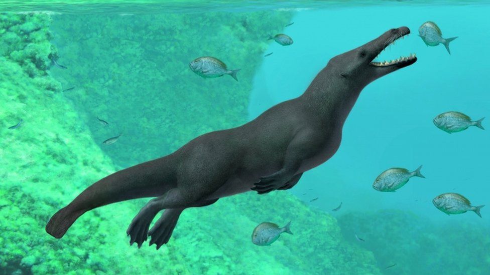 Artist's impression of early whale by A Gennari