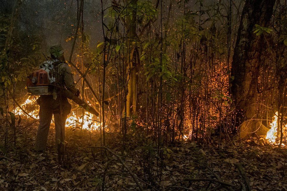 A firefighter tries to put out a forest fire in the Brazilian jungle