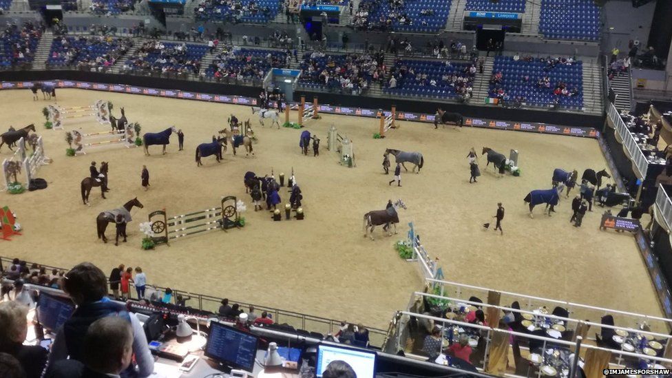Horses at the Liverpool International Horse Show