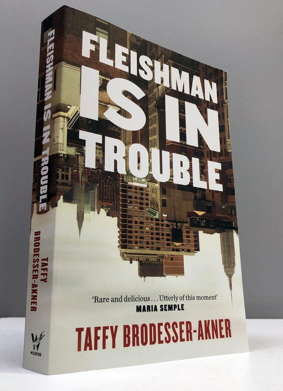 Fleishman Is In Trouble Will Gompertz reviews Taffy BrodesserAkner's